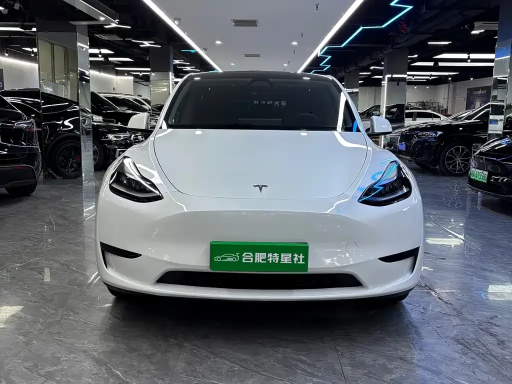 Tesla Model Y — фото 3