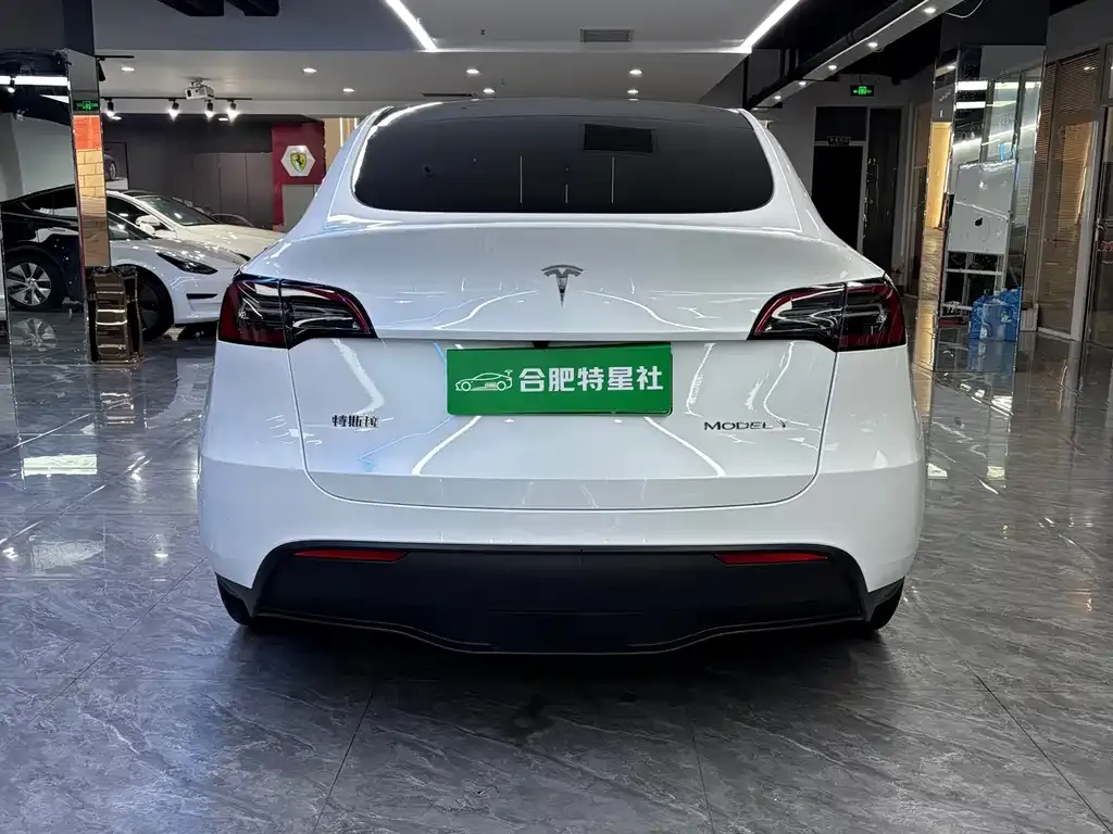Tesla Model Y — фото 9