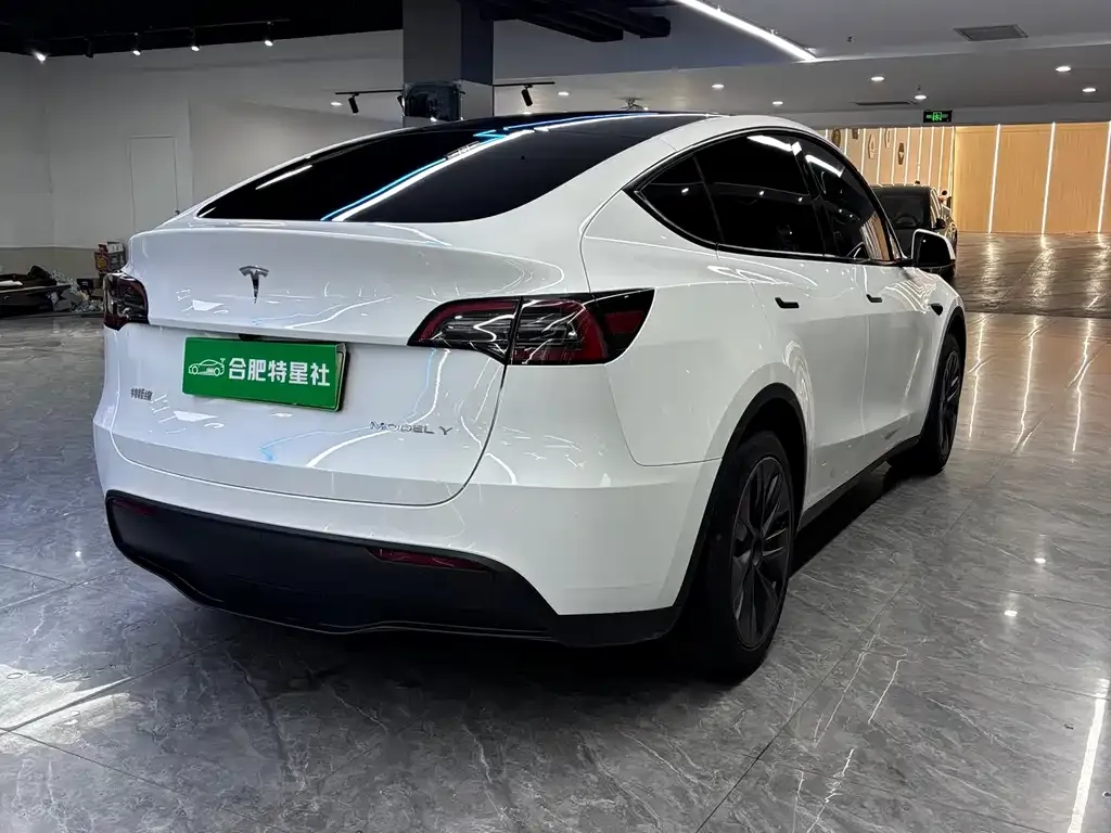 Tesla Model Y — фото 7