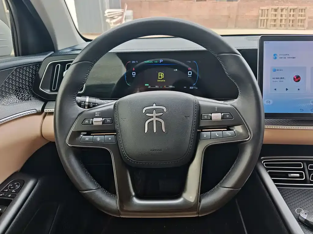 BYD Pro New Energy — фото 10