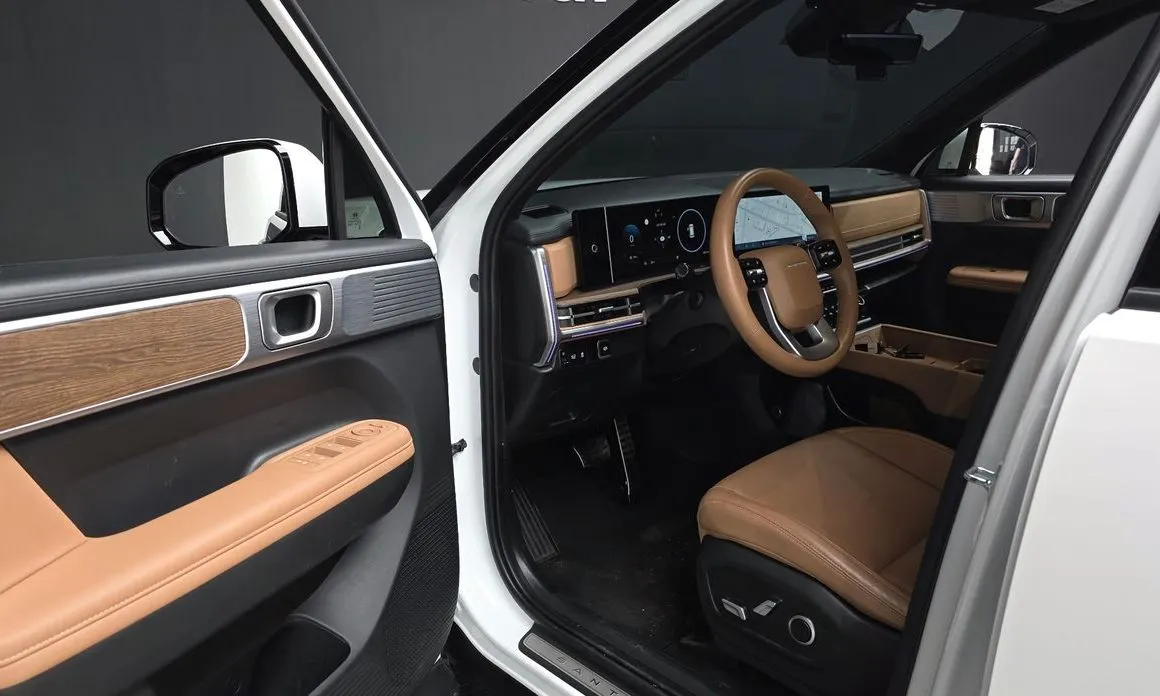 Hyundai Santafe 2024 из KR, фото 6