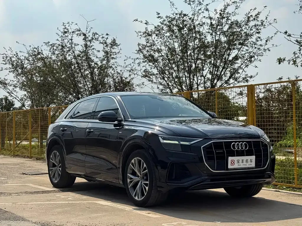 Audi Q8 2021 из CN, фото 8