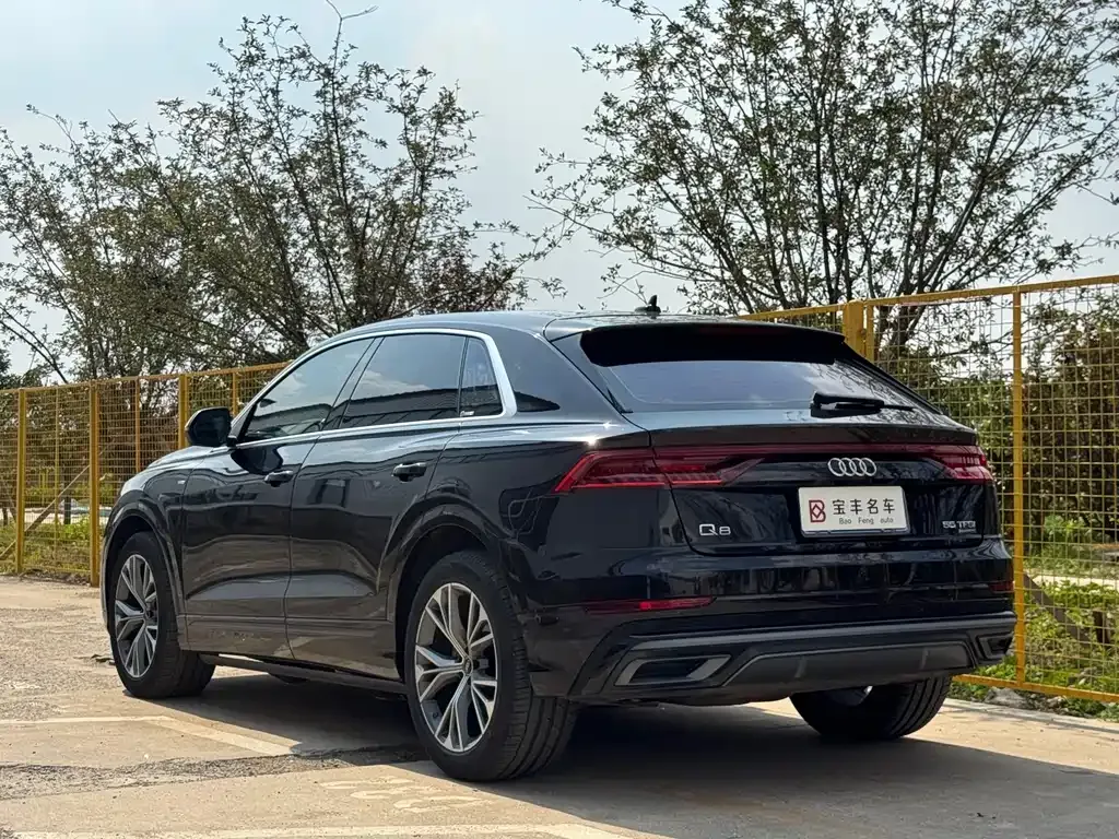 Audi Q8 2021 из CN, фото 9
