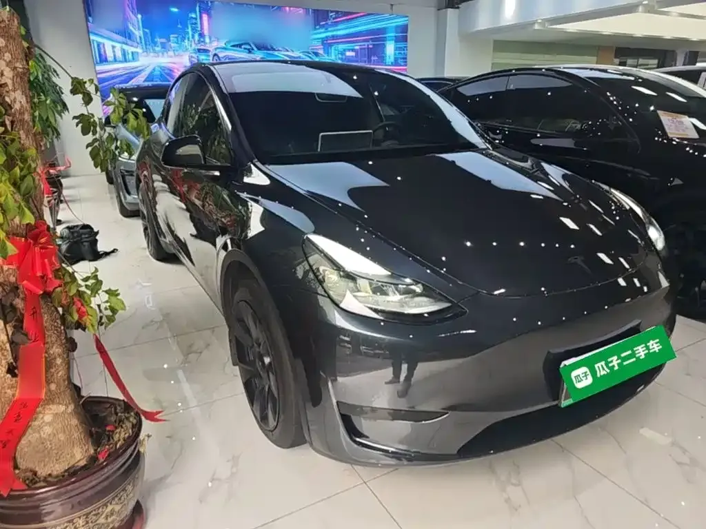 Tesla Model Y — фото 8