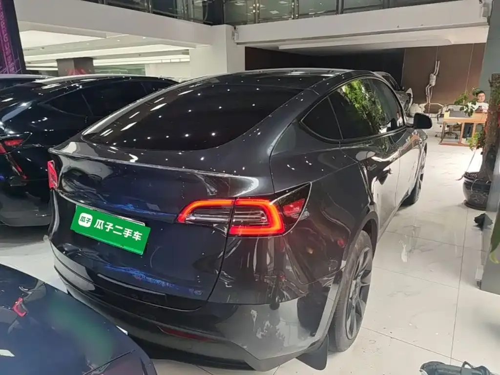 Tesla Model Y — фото 9