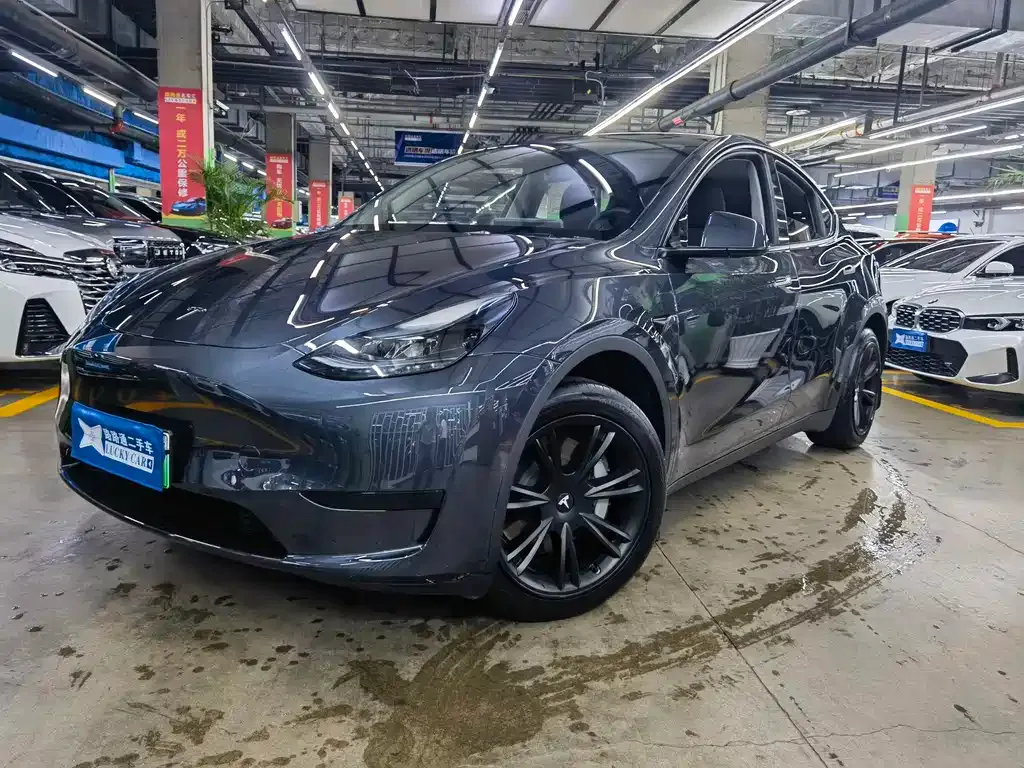 Tesla Model Y — фото 1
