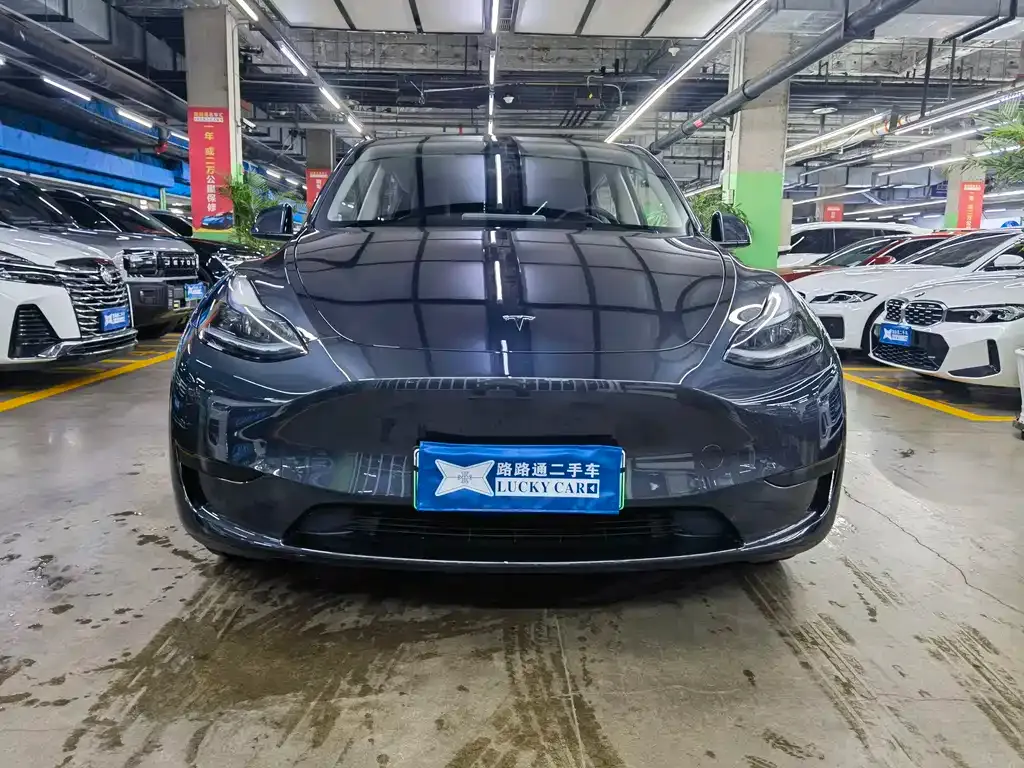 Tesla Model Y — фото 7