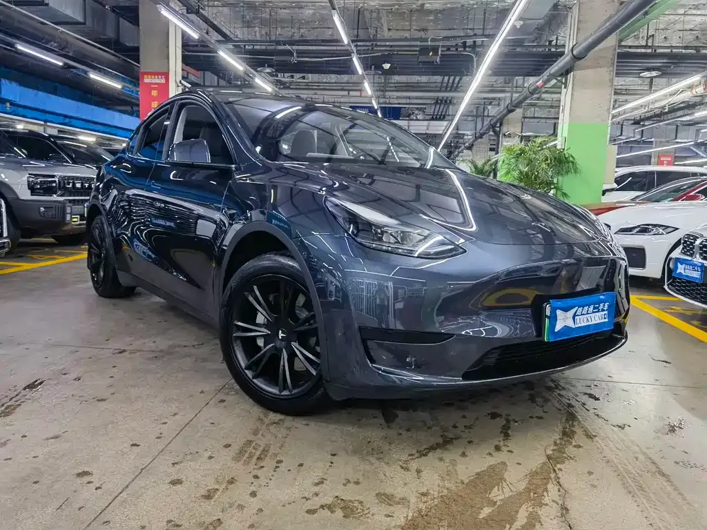 Tesla Model Y — фото 8