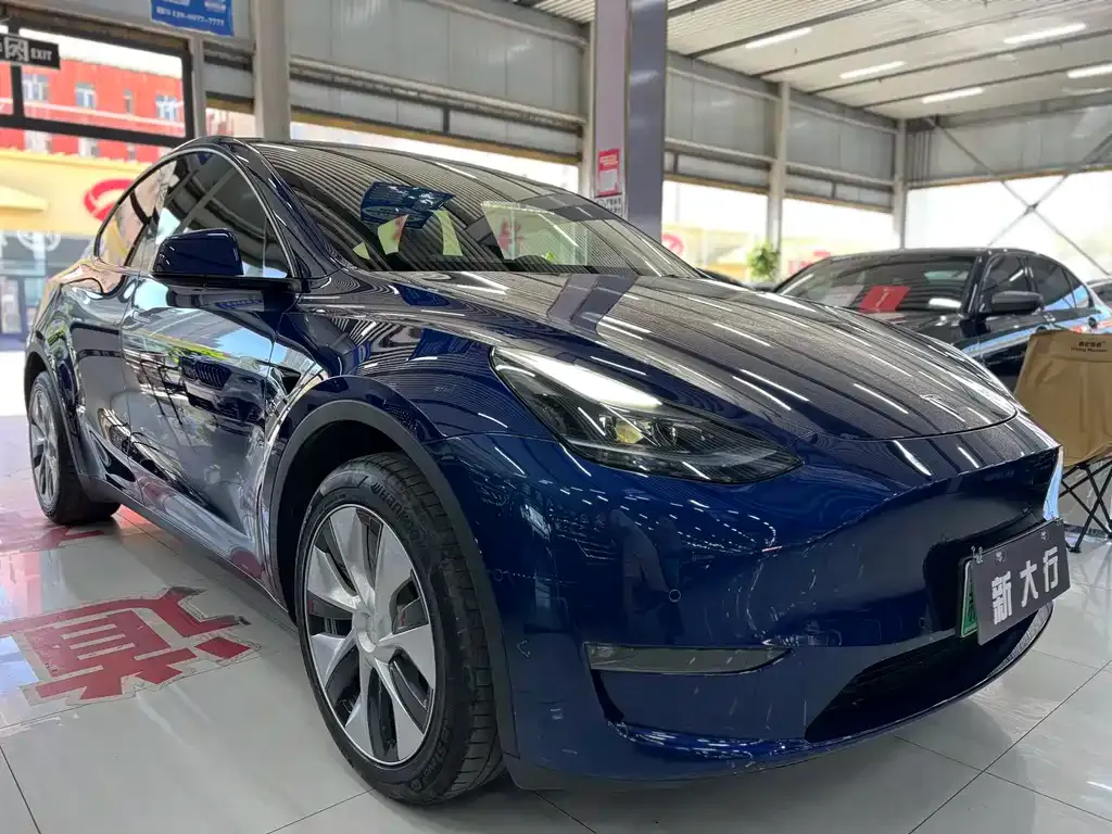 Tesla Model Y — фото 3