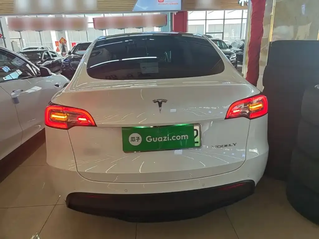 Tesla Model Y — фото 10