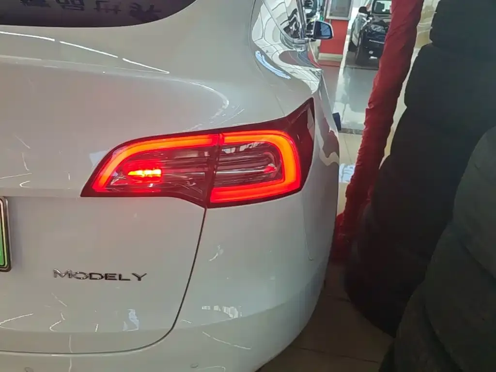 Tesla Model Y — фото 2