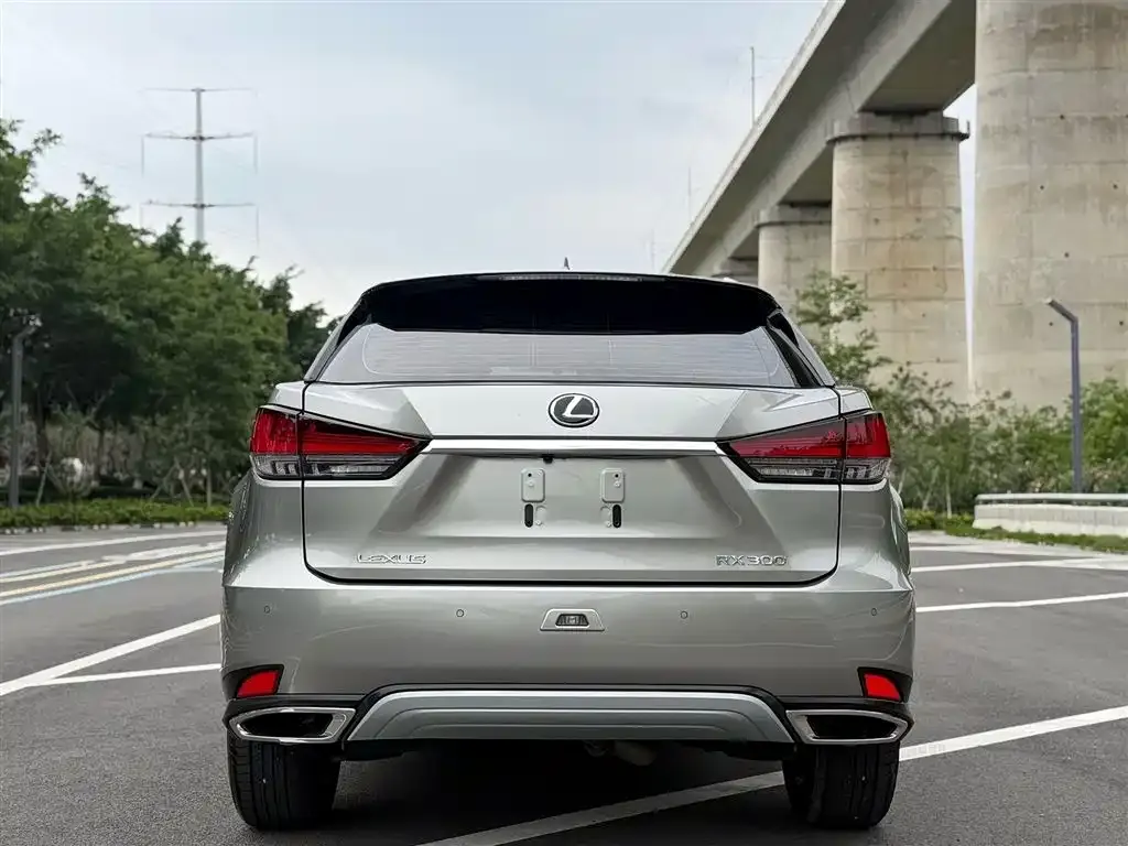 Lexus RX 2022 из CN, фото 3