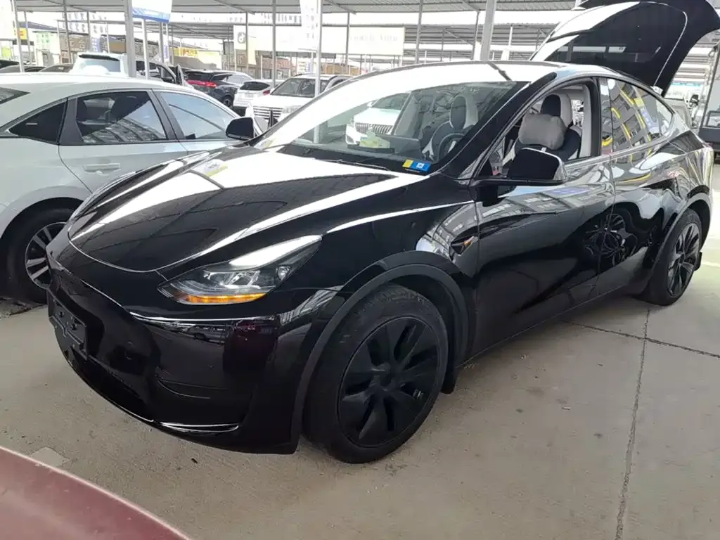 Tesla Model Y — фото 1