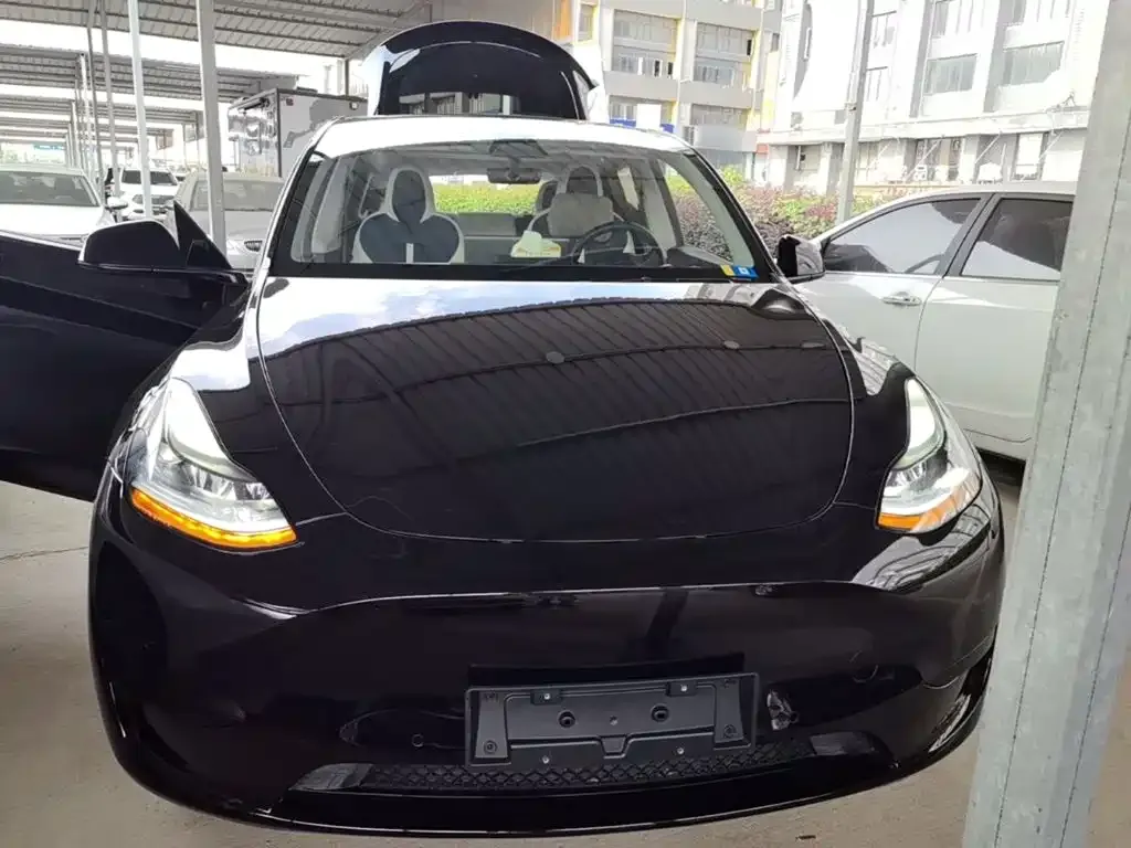 Tesla Model Y — фото 4