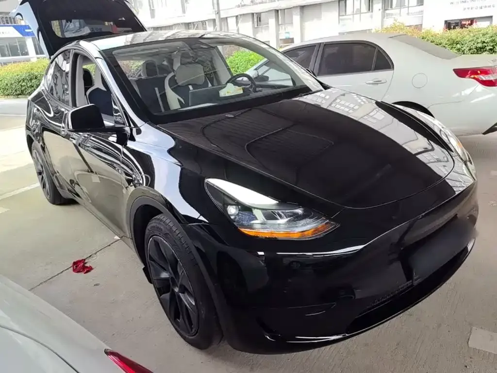 Tesla Model Y — фото 8