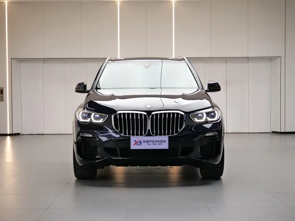 BMW X5 (Import) 2021 из CN, фото 4