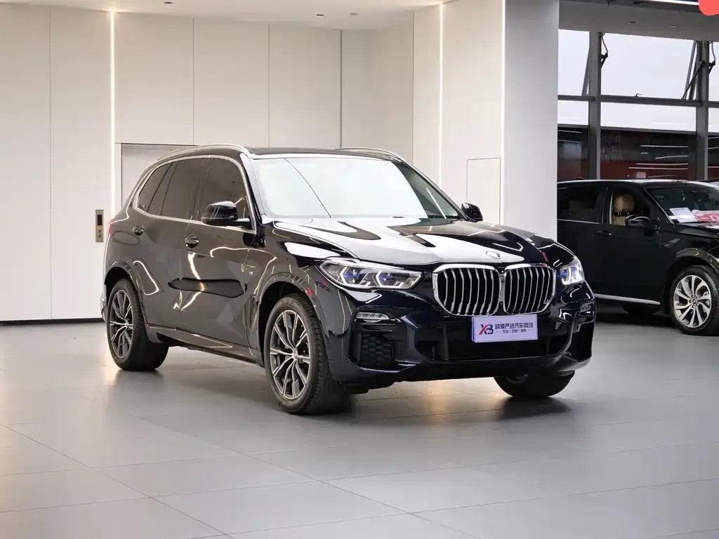 BMW X5 (Import) 2021 из CN, фото 3