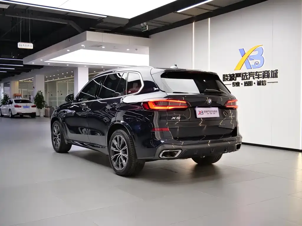 BMW X5 (Import) 2021 из CN, фото 10