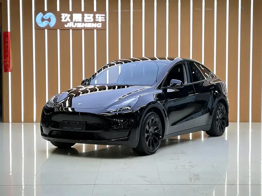 Tesla Model Y — фото 1