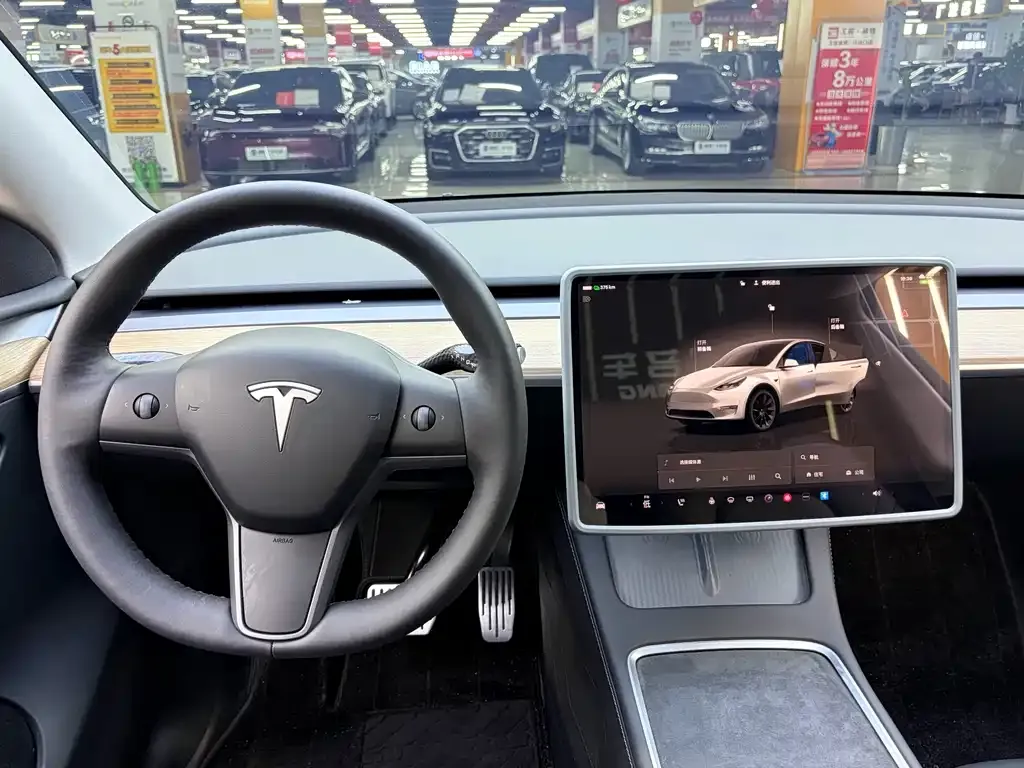 Tesla Model Y — фото 9