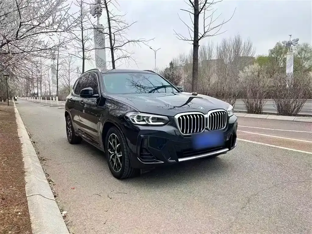 BMW X3 — фото 8