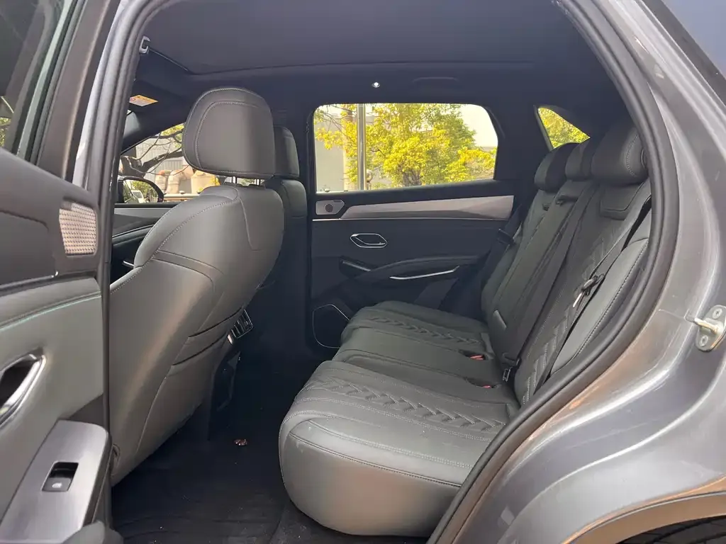 BYD L DM-i — фото 4