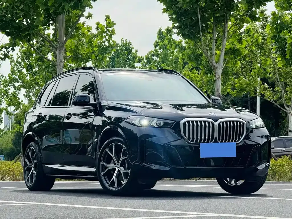 BMW X5 2024 из CN, фото 9