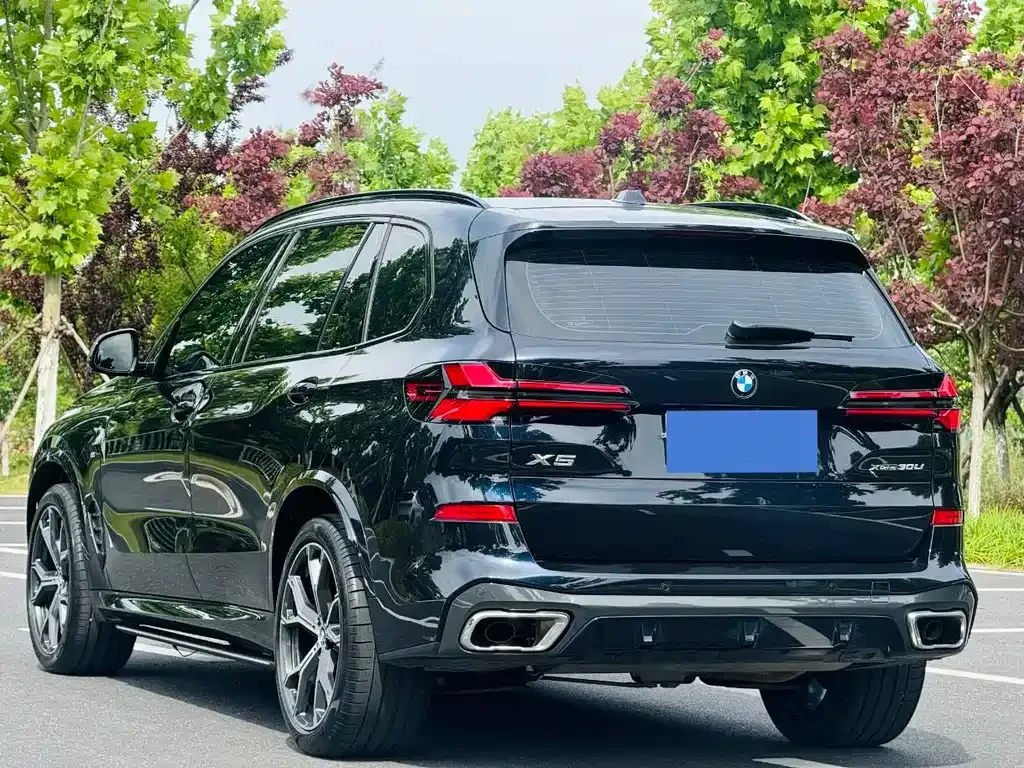 BMW X5 2024 из CN, фото 7
