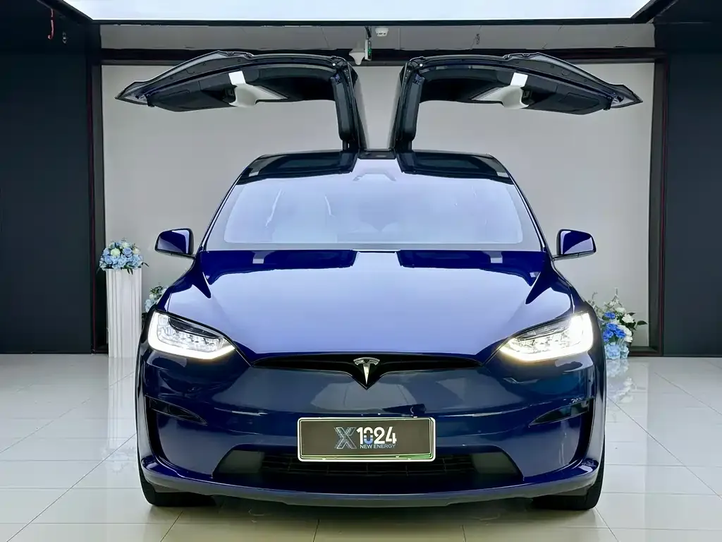 Tesla Model X 2023 из CN, фото 3