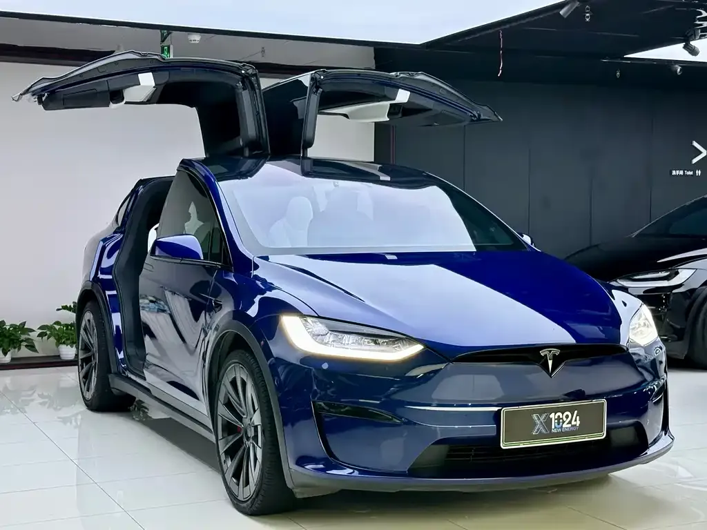 Tesla Model X 2023 из CN, фото 6
