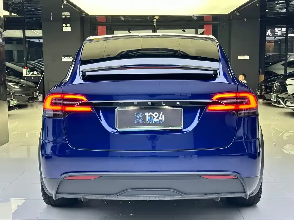 Tesla Model X 2023 из CN, фото 5