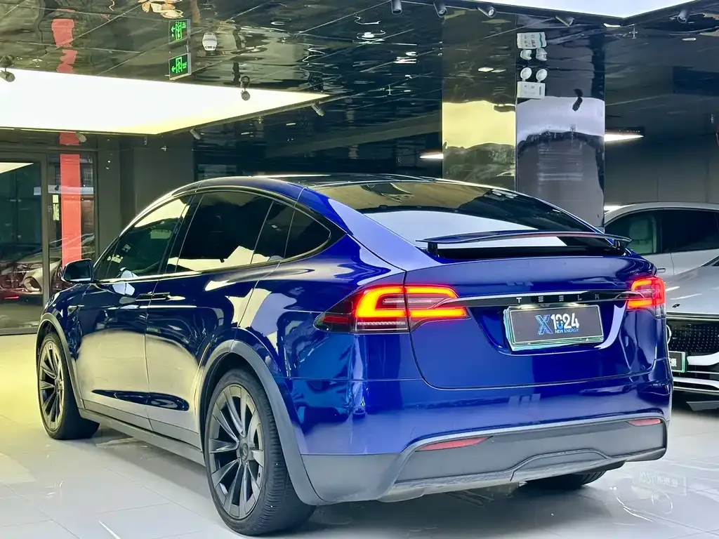 Tesla Model X 2023 из CN, фото 8