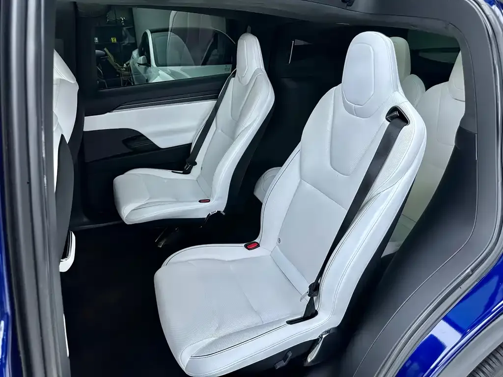 Tesla Model X 2023 из CN, фото 2