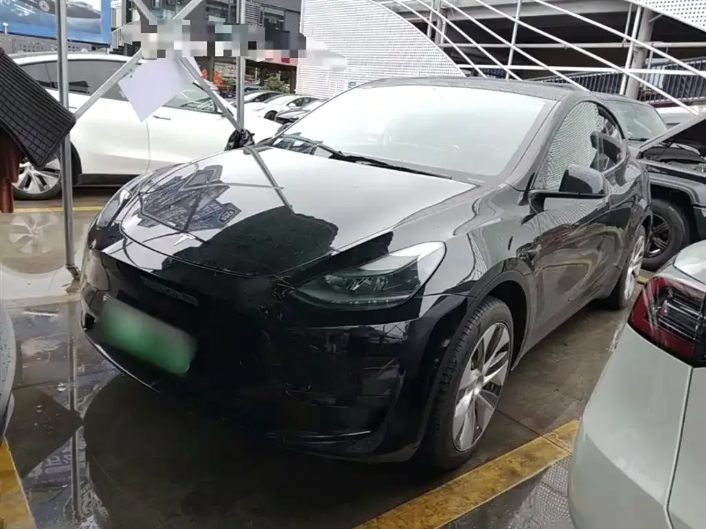 Tesla Model Y — фото 1