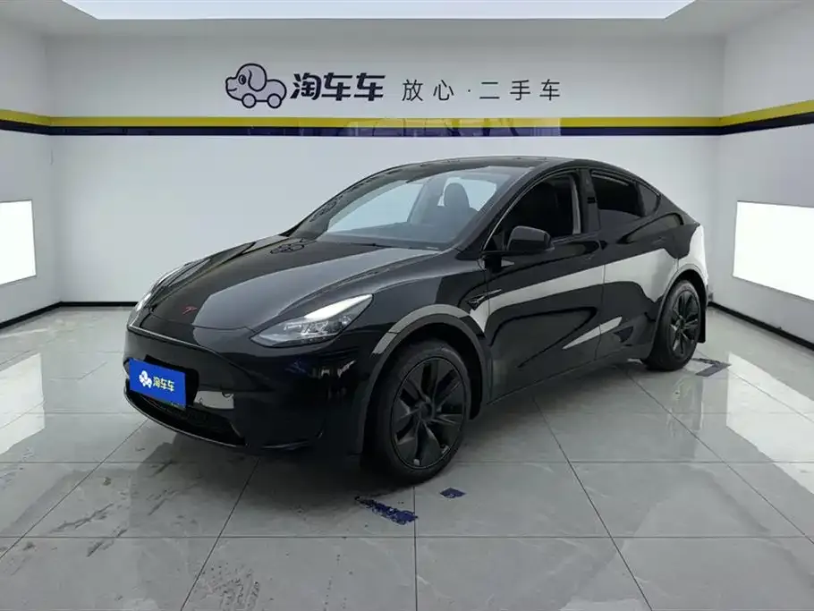 Tesla Model Y — фото 1