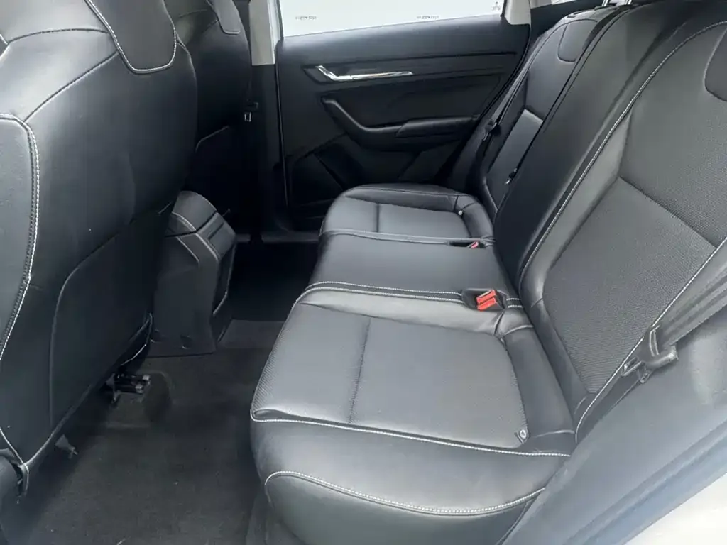 Skoda Kamiq 2021 из CN, фото 2