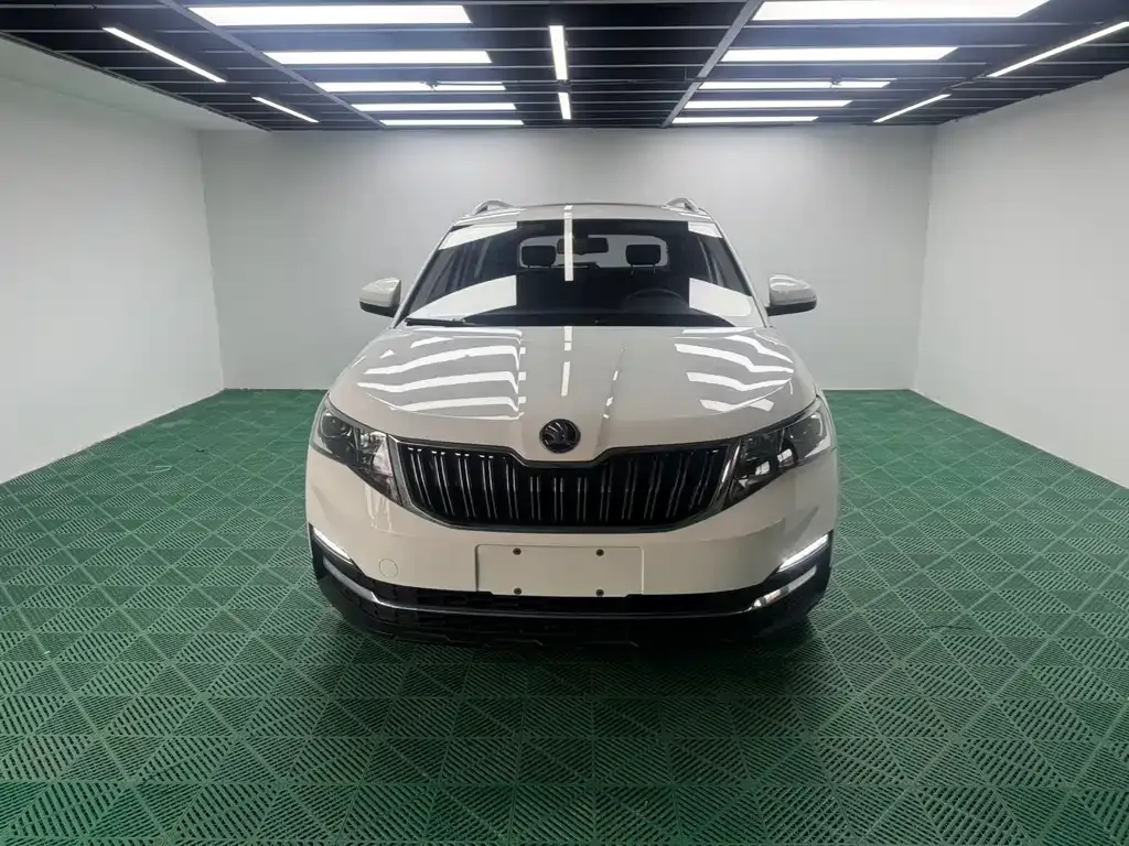 Skoda Kamiq 2021 из CN, фото 8