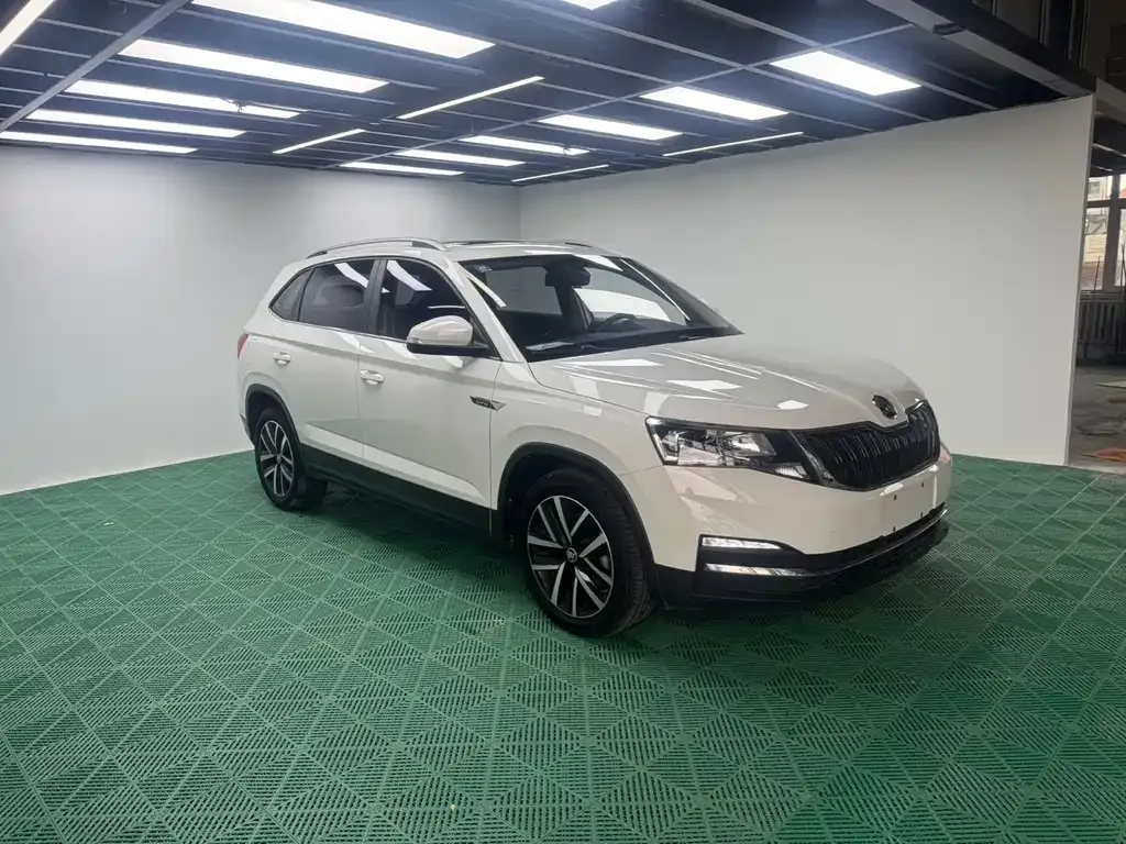 Skoda Kamiq 2021 из CN, фото 10