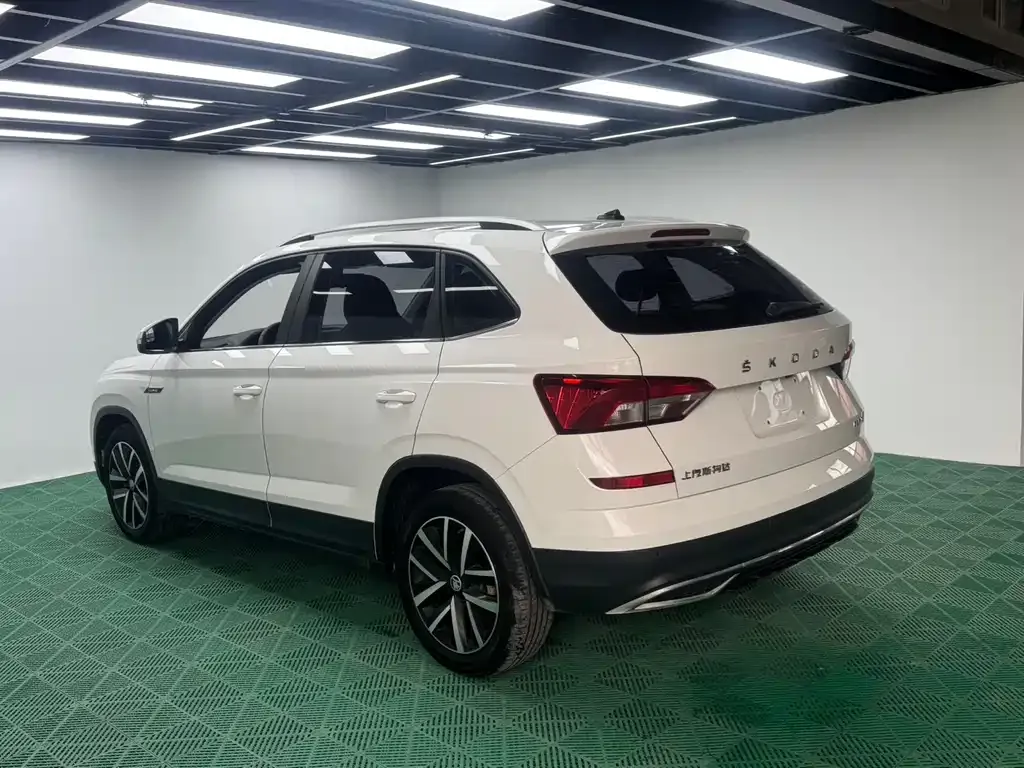 Skoda Kamiq 2021 из CN, фото 4