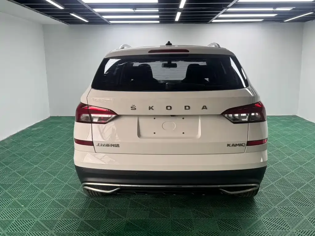 Skoda Kamiq 2021 из CN, фото 6