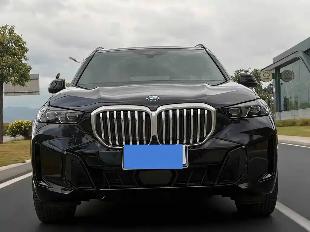 BMW X5 2024 из CN, фото 2