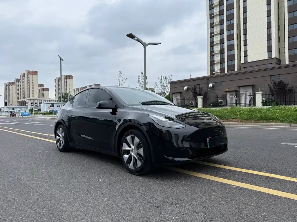 Tesla Model Y — фото 1