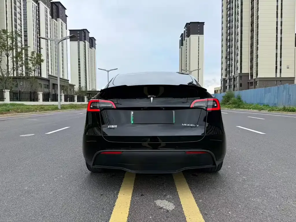 Tesla Model Y — фото 8