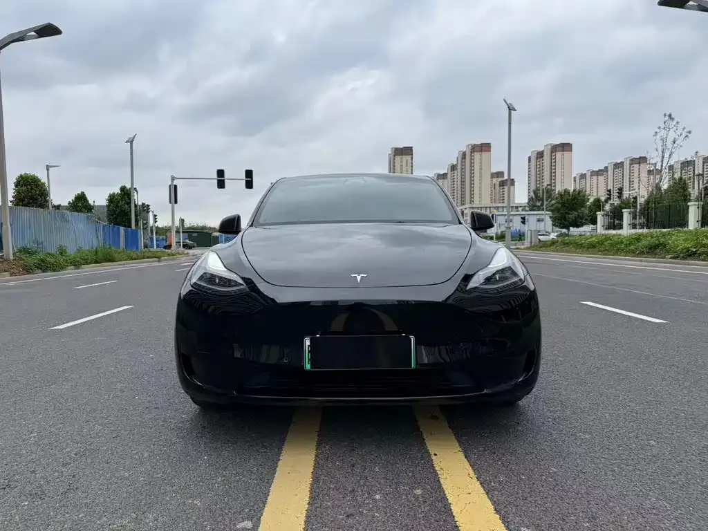 Tesla Model Y — фото 3