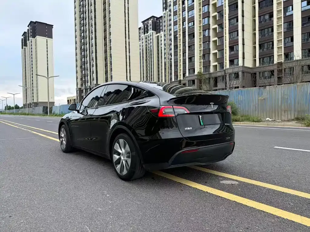 Tesla Model Y — фото 9