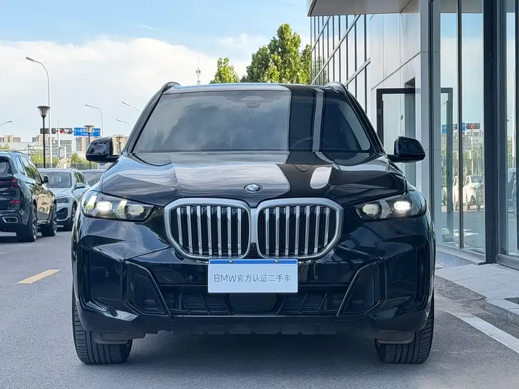 BMW X5 — фото 6