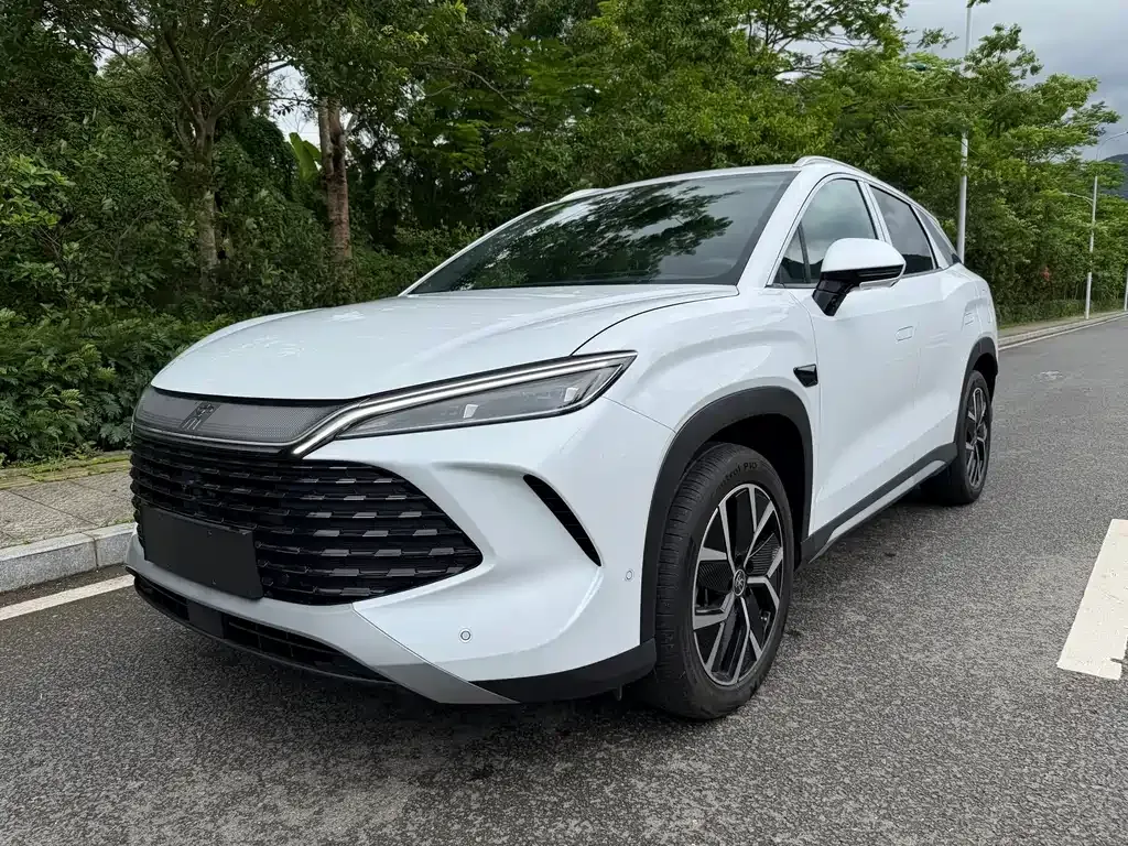 BYD L DM-i — фото 1