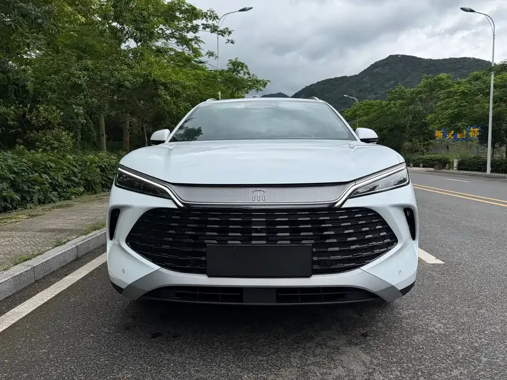 BYD L DM-i — фото 9