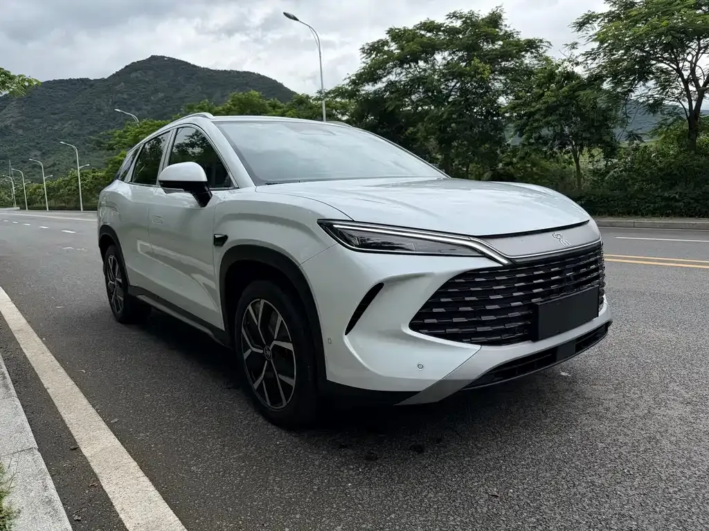 BYD L DM-i — фото 8