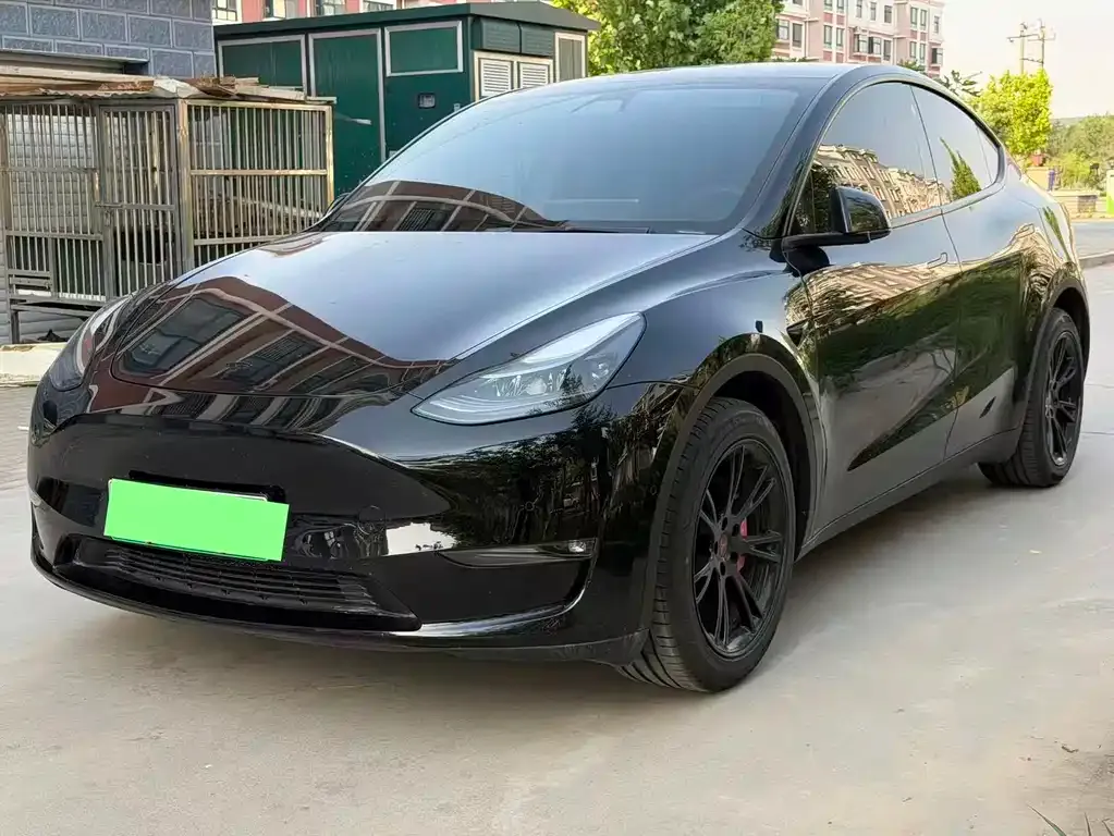 Tesla Model Y — фото 1